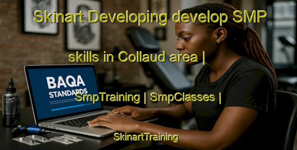 Skinart Developing develop SMP skills in Collaud area | SmpTraining | SmpClasses | SkinartTraining-France